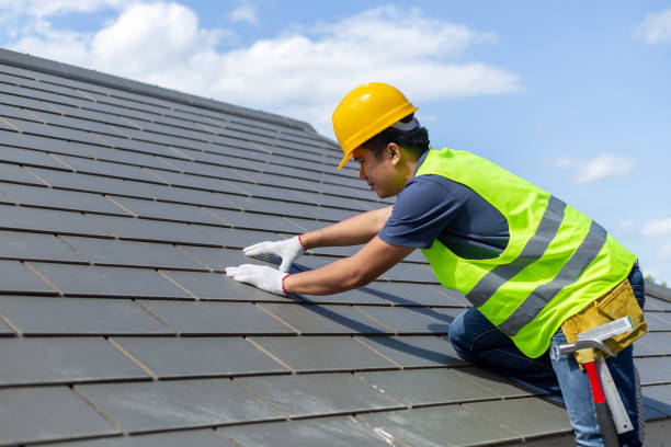 Best Roof Gutter Cleaning  in Harristown, IL