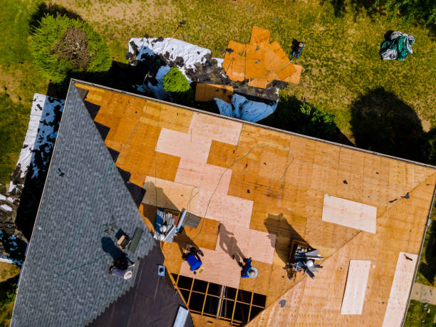 Best Affordable Roofing Company  in Harristown, IL