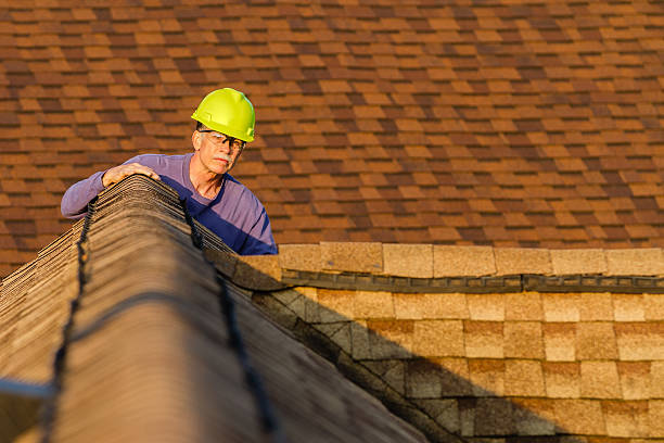 Best Roofing Contractor Near Me  in Harristown, IL