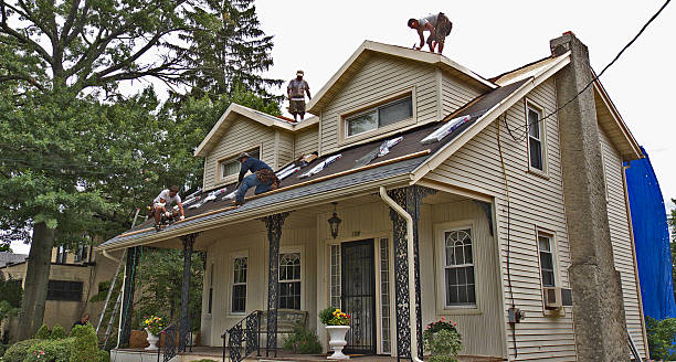 Best Local Roofing Companies  in Harristown, IL