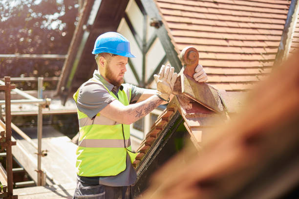 Best Storm Damage Roof Repair  in Harristown, IL